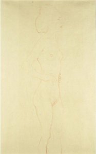 Female Standing Nude