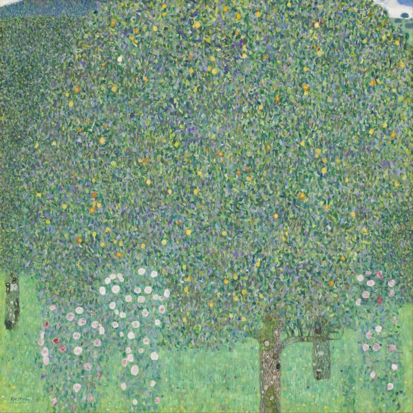 Roses Under the Trees 1905